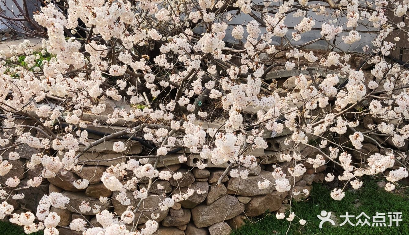 真是个踏青散心的好去处