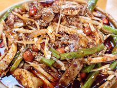 椒麻鸡-小饕荟雅安贡椒鱼鲜馆(广福桥店)