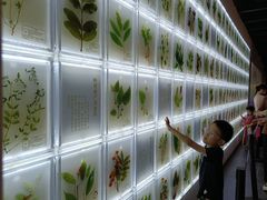 -广东中医药博物馆