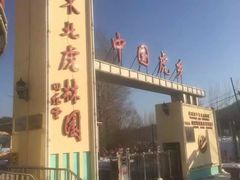 -横道河子东北虎林园