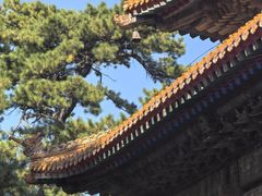 -普乐寺
