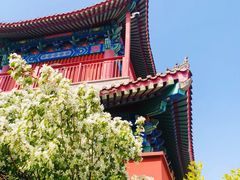 -天津妈祖文化园