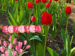 -长春公园(普阳街道)