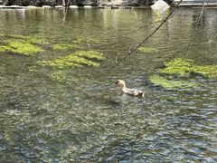 -水磨沟公园