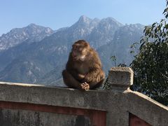 -九华山风景区