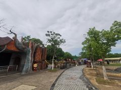 -上海海湾国家森林公园