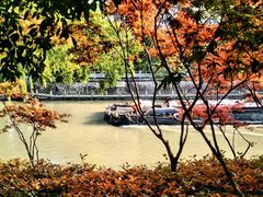 -运河游船(武林门码头)