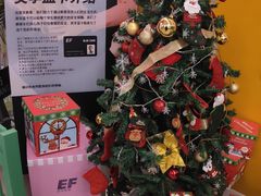 -英孚教育青少儿(银盆岭万达广场店)