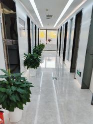 -悟空祛痘·诺奖技术专业店