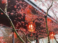 -湖滨客舍·湖北菜