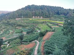 -乌石村