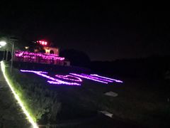 -大塘金香草谷