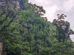-高荡千年布依古寨旅游景区