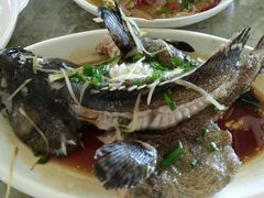 石斑鱼-四川小胡子海鲜(丁村万人海鲜广场店)