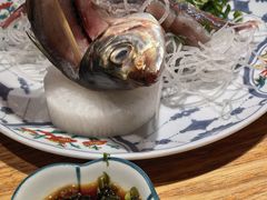 -桂马·日本料理·海胆·海鲜饭·酒场(民主广场店)