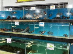 -钱大妈海鲜饭店(旅游大道店)