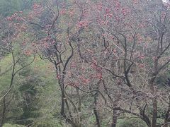 -丹山赤水风景名胜区