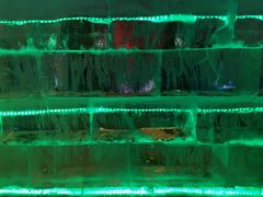 -沈阳奥体冰雪嘉年华