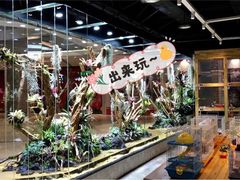 -趣陶陶艺手工坊(新世界百货重庆店)