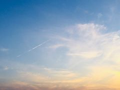 -西湖外事游船(湖滨二公园外事游船码头)