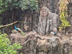 -长鹿旅游休博园