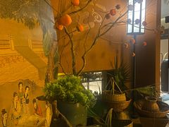 -大树小院