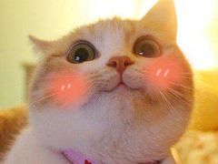 -7分甜(南通通州万达广场店)