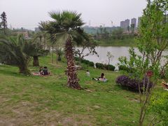 -枫香湖儿童公园