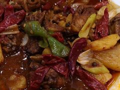 -巴依老爷新疆美食(望京小街店)