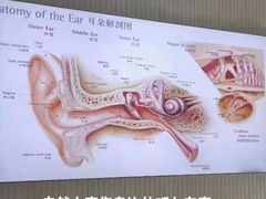 -自然之声助听器(平凉店)