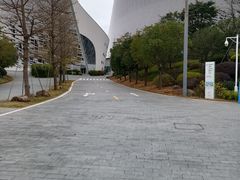 -福州海峡文化艺术中心
