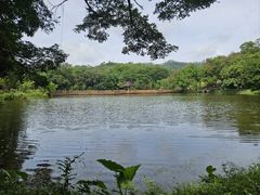 -番禺大夫山森林公园
