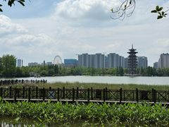 -洋湖国家湿地公园