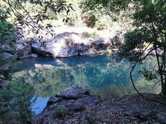 -广州白江湖森林公园