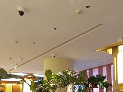 -桂满陇·蟹黄小笼汤包(中山公园店)