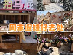 -HERRE·FARM 赫尔露营农场·团建聚会包场