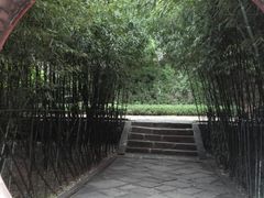 -浮来山风景区