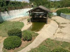 -无锡动物园·太湖欢乐园