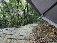 -杭州半山国家森林公园