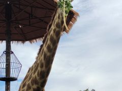 -济南野生动物世界