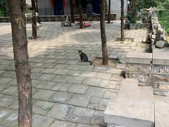 -四门塔风景区