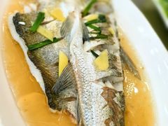 -观桥阁(锦溪店)