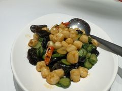 -海派美食·家宴海鲜青岛菜·石锅鲽鱼头(东方城店)