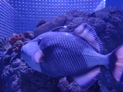 -成都浩海立方海洋公园