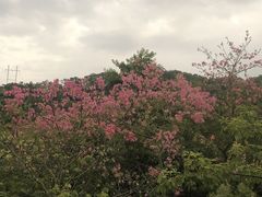 -福道