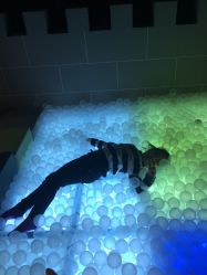 -幻贝家儿童乐园(苏州中心店)