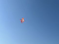 -三垟湿地