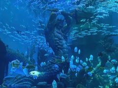 -波塞冬海底世界