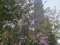 -荔枝公园(福田区)
