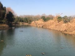 -白塔湖国家湿地公园